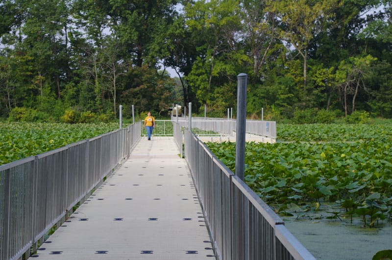 ArlingtonWetlands_EWGateway2012