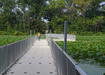 ArlingtonWetlands_EWGateway2012